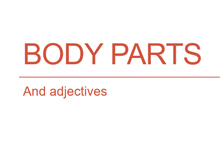 Page 35 – Body Parts – Adjectives